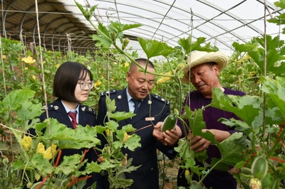 戈壁灘上“菜園子”直通“菜籃子”，水產養殖助力現代農業展宏圖